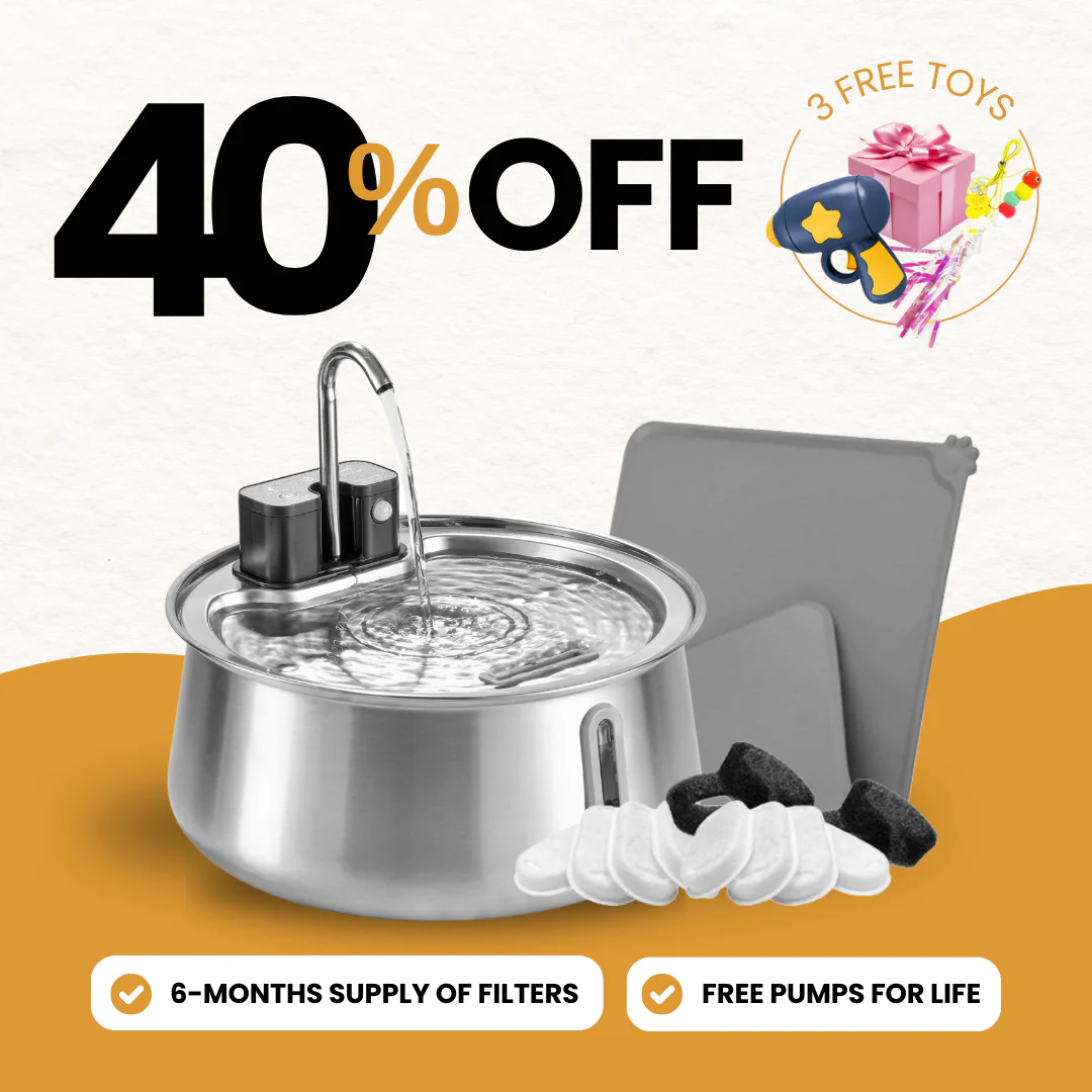 Int'l Women's Day Sale